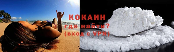 прущие грибы Кодинск