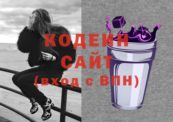 прущие грибы Кодинск