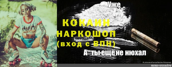 прущие грибы Кодинск