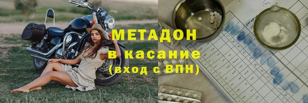 прущие грибы Кодинск
