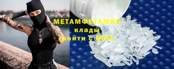 прущие грибы Кодинск