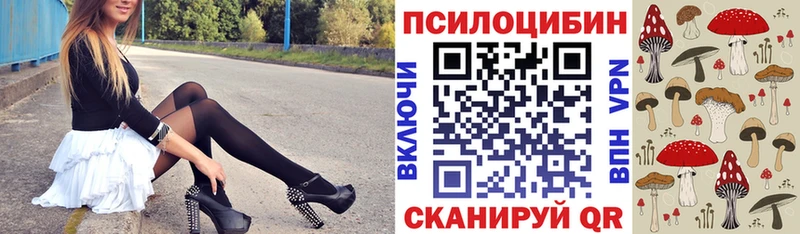 Псилоцибиновые грибы Psilocybe  Купить где  Светлый 